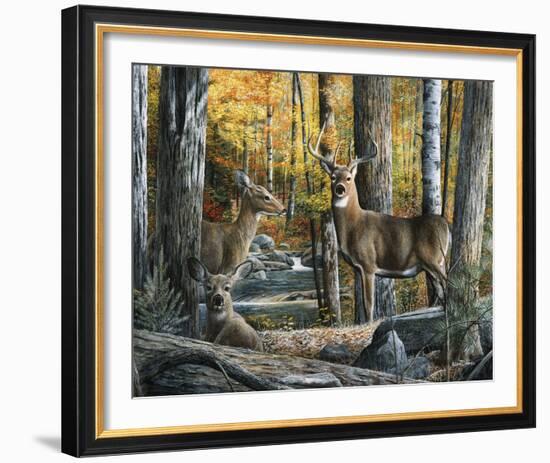 Broken Silence II-Kevin Daniel-Framed Art Print