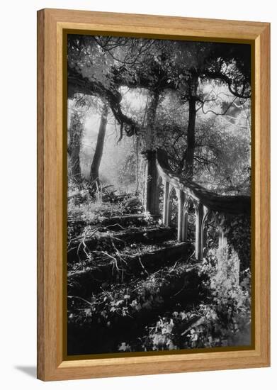 Broken Steps, Charleville Forest, County Offaly, Ireland-Simon Marsden-Framed Premier Image Canvas