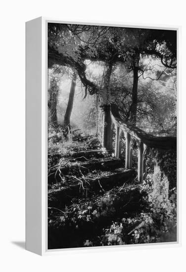 Broken Steps, Charleville Forest, County Offaly, Ireland-Simon Marsden-Framed Premier Image Canvas