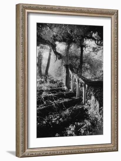 Broken Steps, Charleville Forest, County Offaly, Ireland-Simon Marsden-Framed Giclee Print