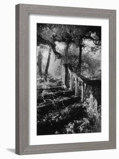 Broken Steps, Charleville Forest, County Offaly, Ireland-Simon Marsden-Framed Giclee Print