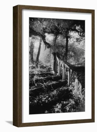 Broken Steps, Charleville Forest, County Offaly, Ireland-Simon Marsden-Framed Giclee Print