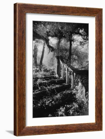 Broken Steps, Charleville Forest, County Offaly, Ireland-Simon Marsden-Framed Giclee Print
