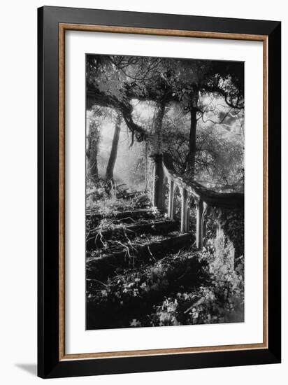 Broken Steps, Charleville Forest, County Offaly, Ireland-Simon Marsden-Framed Giclee Print