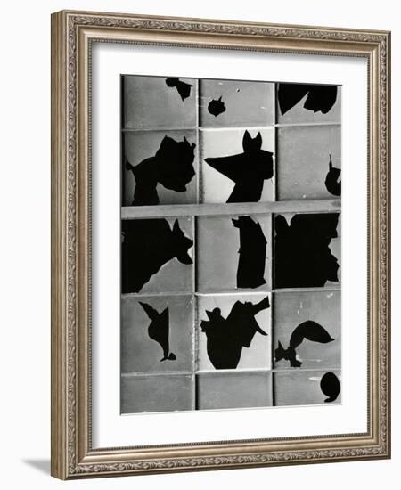 Broken Window, c. 1970-Brett Weston-Framed Photographic Print