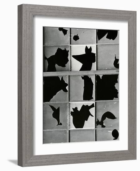 Broken Window, c. 1970-Brett Weston-Framed Photographic Print