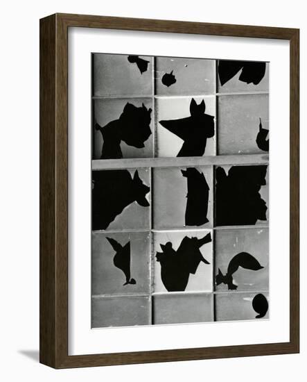 Broken Window, c. 1970-Brett Weston-Framed Photographic Print