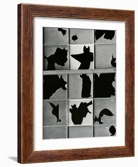 Broken Window, c. 1970-Brett Weston-Framed Photographic Print