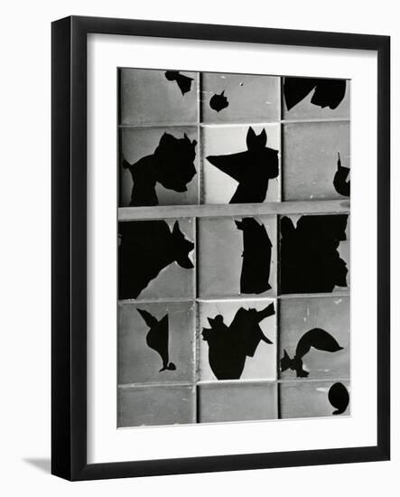 Broken Window, c. 1970-Brett Weston-Framed Photographic Print