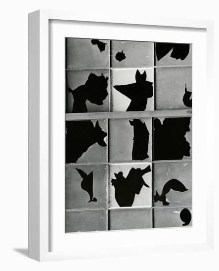 Broken Window, c. 1970-Brett Weston-Framed Photographic Print