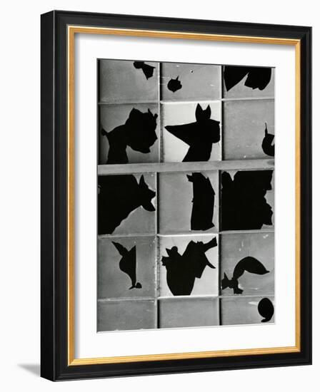 Broken Window, c. 1970-Brett Weston-Framed Photographic Print