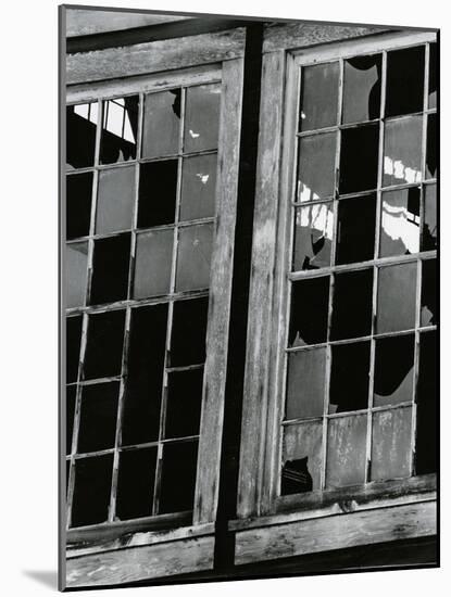 Broken Window, c.1970-Brett Weston-Mounted Photographic Print