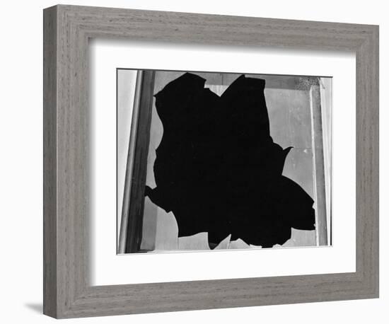 Broken Window, San Francisco, 1937-Brett Weston-Framed Photographic Print