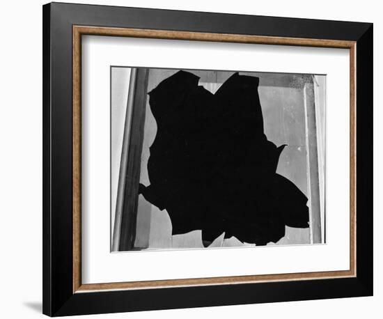 Broken Window, San Francisco, 1937-Brett Weston-Framed Photographic Print