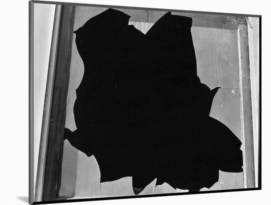 Broken Window, San Francisco, 1937-Brett Weston-Mounted Photographic Print