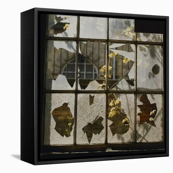 Broken Window With Flowers Growing-Fay Godwin-Framed Premier Image Canvas