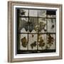 Broken Window With Flowers Growing-Fay Godwin-Framed Giclee Print