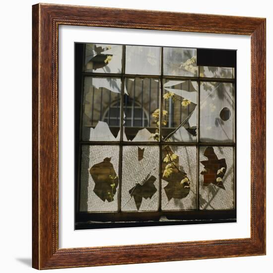 Broken Window With Flowers Growing-Fay Godwin-Framed Giclee Print