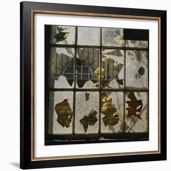 Broken Window With Flowers Growing-Fay Godwin-Framed Giclee Print