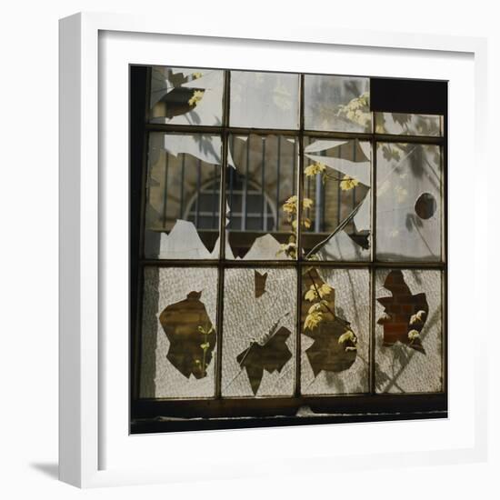 Broken Window With Flowers Growing-Fay Godwin-Framed Giclee Print