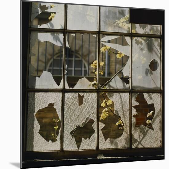 Broken Window With Flowers Growing-Fay Godwin-Mounted Giclee Print