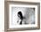 Broken Wing-Keisuke Ikeda @-Framed Photographic Print