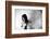 Broken Wing-Keisuke Ikeda @-Framed Photographic Print