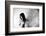 Broken Wing-Keisuke Ikeda @-Framed Photographic Print