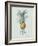 Bromelia Ananas - Celadon-Pierre Joseph Redoute-Framed Giclee Print