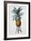 Bromelia Ananas-Pierre Joseph Redoute-Framed Giclee Print