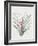 Bromelia Karatas-Pierre Joseph Redoute-Framed Giclee Print