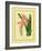 Bromelia Zebrina-C^ Van Geel-Framed Art Print