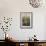 Bromeliad (Tillandsia Fasciculata)-Bob Gibbons-Framed Photographic Print displayed on a wall