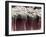 Bronchial Cilia, SEM-Steve Gschmeissner-Framed Photographic Print