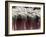 Bronchial Cilia, SEM-Steve Gschmeissner-Framed Photographic Print