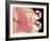 Bronchitis-Monica Schroeder-Framed Giclee Print