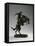 Bronco Buster, 1895, Cast 30Th July 1906 (Bronze)-Frederic Remington-Framed Premier Image Canvas