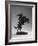 Bronco Buster, 1895, Cast 30Th July 1906 (Bronze)-Frederic Remington-Framed Giclee Print