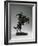 Bronco Buster, 1895, Cast 30Th July 1906 (Bronze)-Frederic Remington-Framed Giclee Print