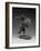 Bronco Buster, 1898 (Bronze)-Frederic Remington-Framed Giclee Print