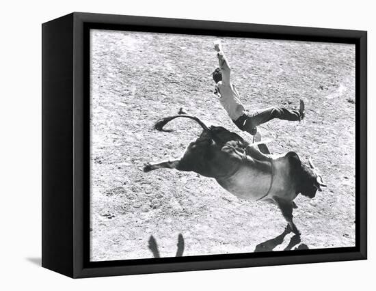 Bronco Buster-null-Framed Stretched Canvas