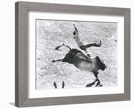 Bronco Buster-null-Framed Photo