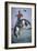 Bronco-Buster-Frederic Sackrider Remington-Framed Giclee Print