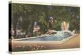Stretched Canvas Print