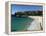 Bronte Beach, Sydney, Australia-David Wall-Framed Premier Image Canvas