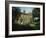 Bronte Parsonage, Haworth, West Yorkshire, England, United Kingdom, Europe-Harding Robert-Framed Photographic Print