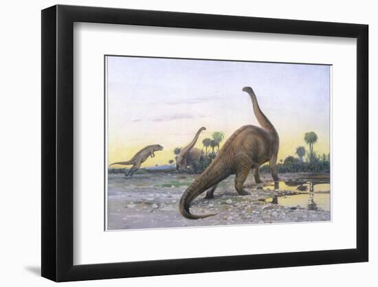 Brontosaurus Attacked by Allosaurus-Wilhelm Kuhnert-Framed Photographic Print