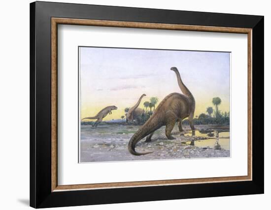 Brontosaurus Attacked by Allosaurus-Wilhelm Kuhnert-Framed Photographic Print