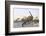 Brontosaurus Attacked by Allosaurus-Wilhelm Kuhnert-Framed Photographic Print