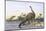 Brontosaurus Attacked by Allosaurus-Wilhelm Kuhnert-Mounted Photographic Print